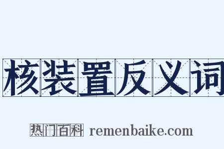 核装置反义词是什么意思的图片